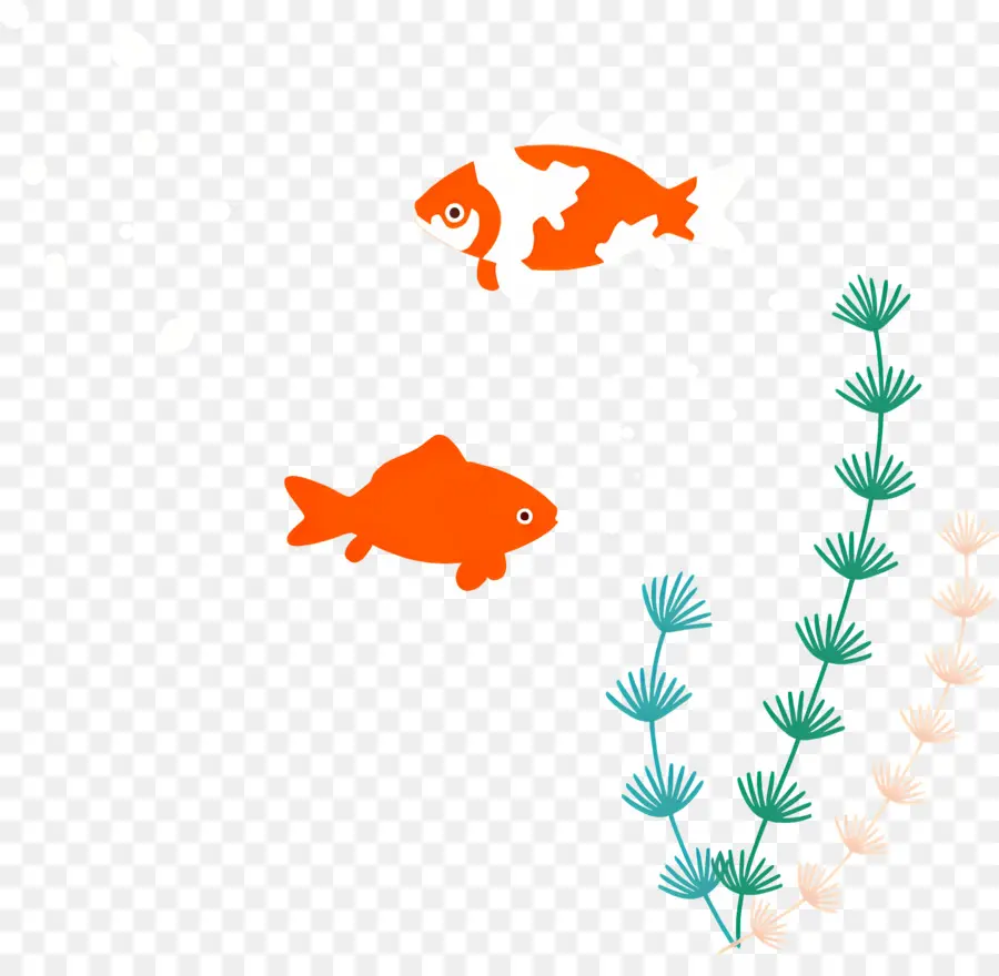 Pez，Los Peces PNG