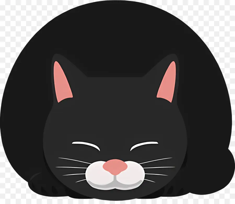 Gato De Dibujos Animados，Gato Negro PNG