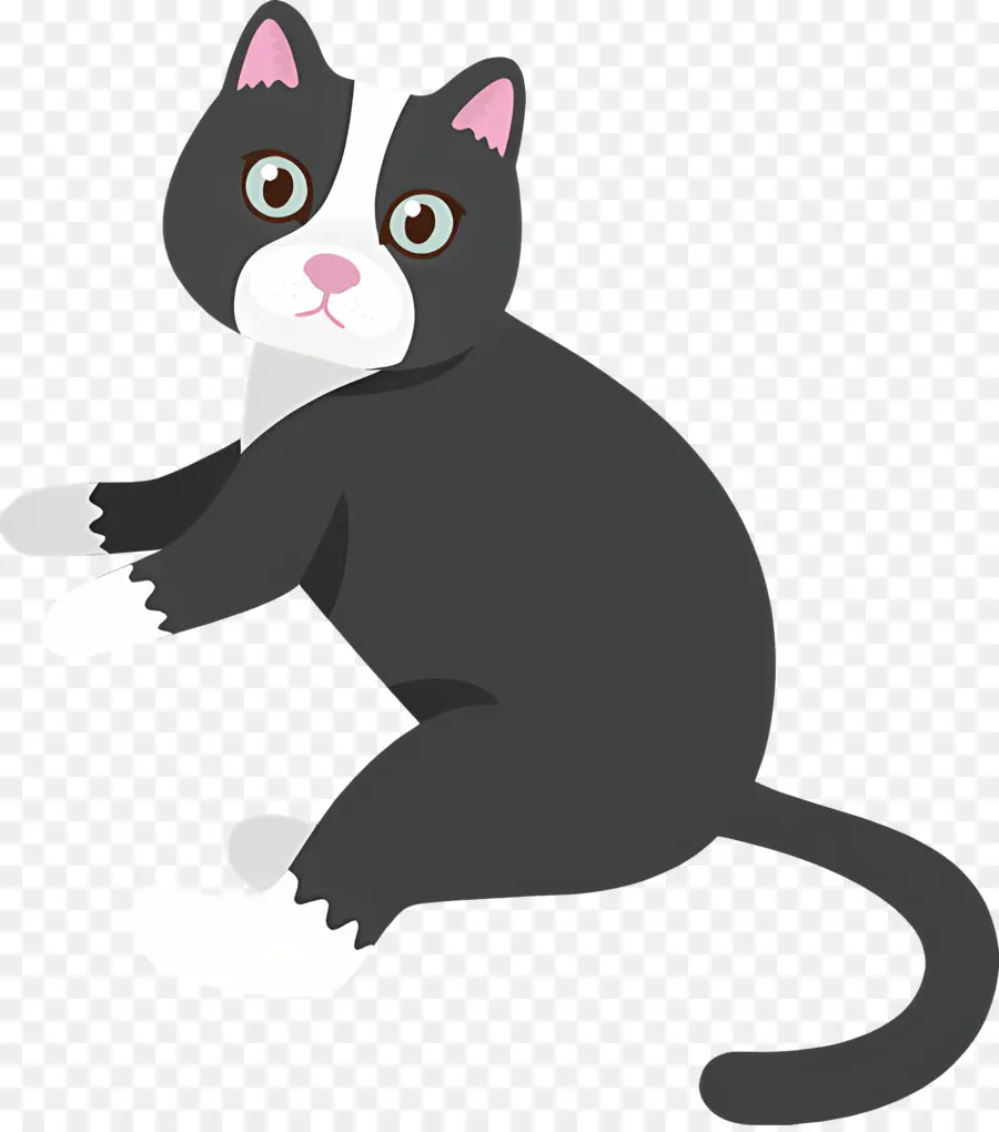 Gato De Dibujos Animados，Gato Blanco Y Negro PNG