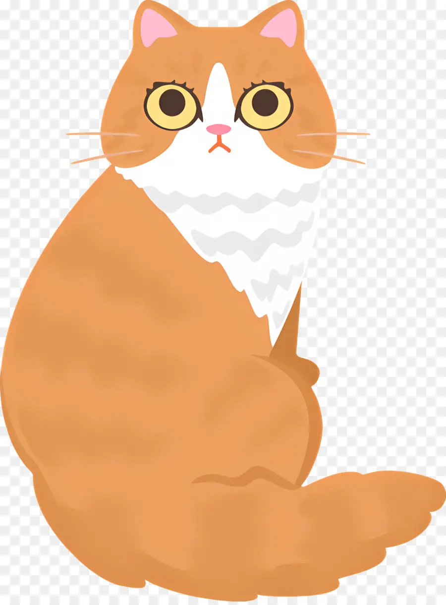 Gato De Dibujos Animados，Gato PNG