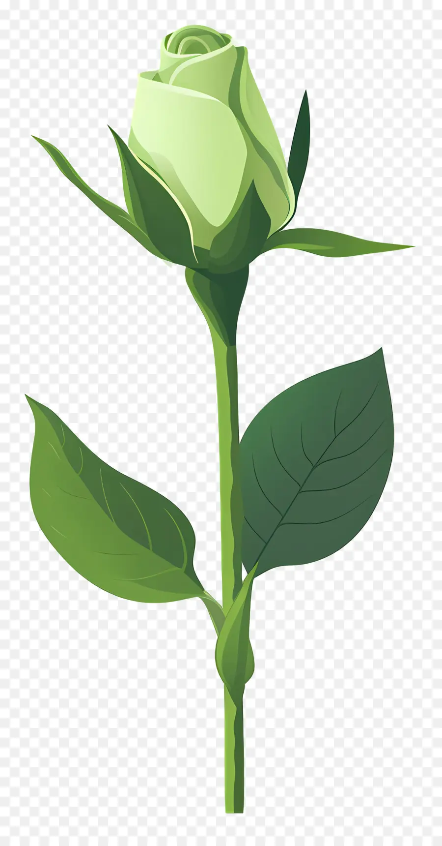 Verde Rosa，Flor PNG