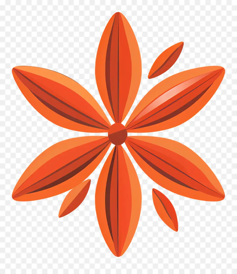 El Anís Estrellado，Flor De Naranja PNG