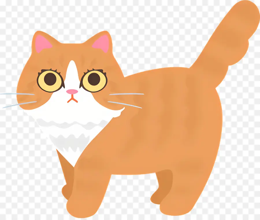 Gato De Dibujos Animados，Sorprendido Expresión PNG