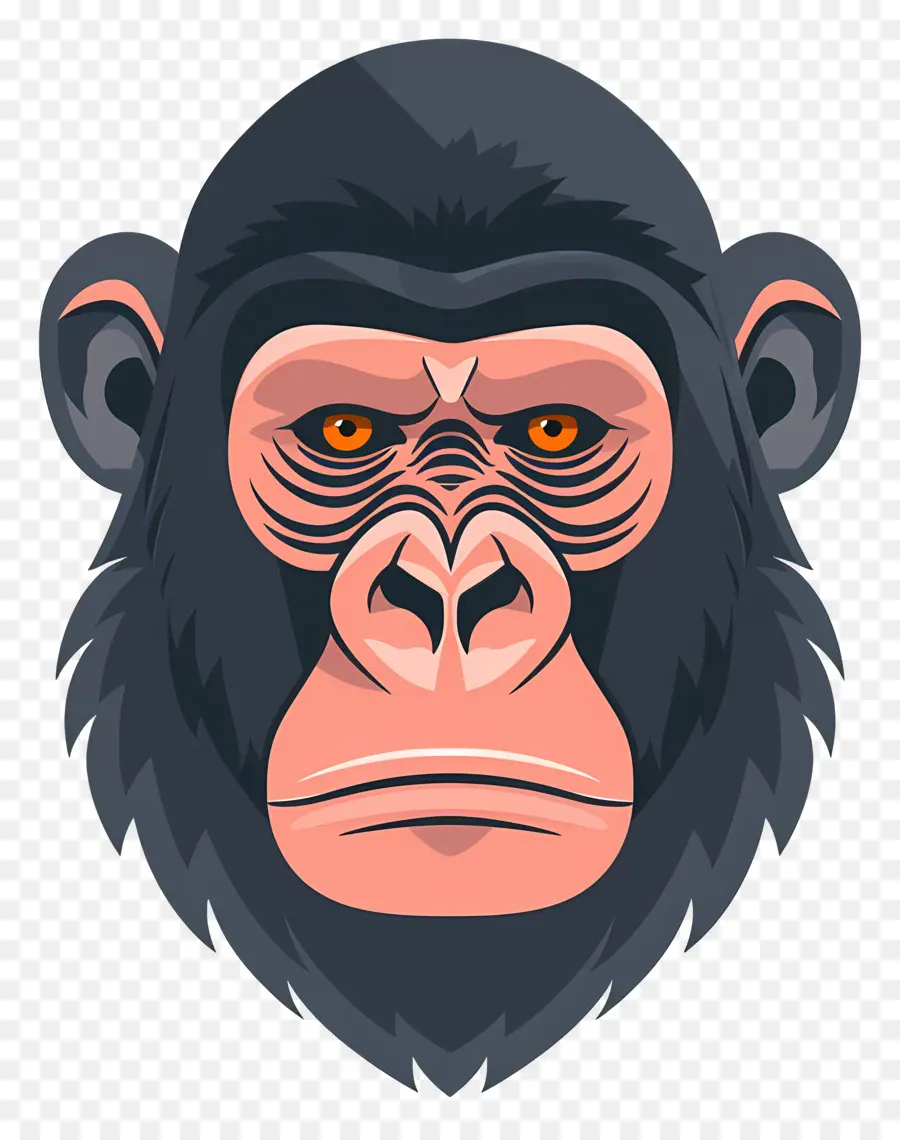 Linda Cara De Gorila，Angry Monkey PNG