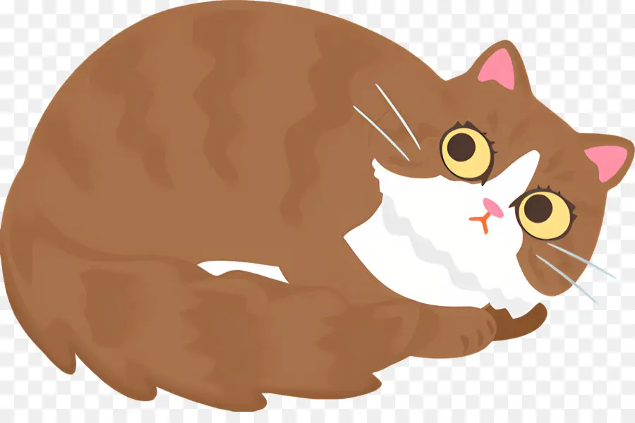 Gato De Dibujos Animados，Gato Rayado PNG