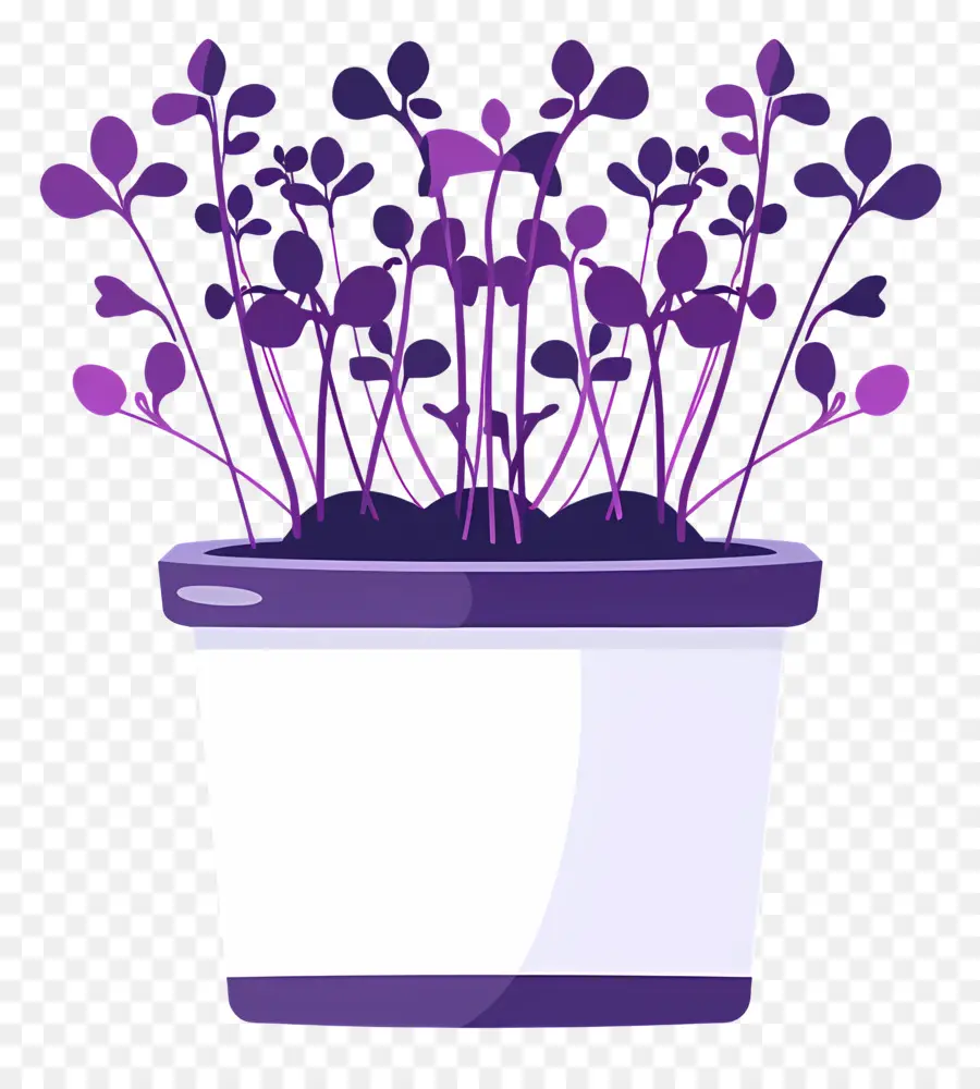 Bote De Microgreens，Bote De Cerámica Blanca PNG