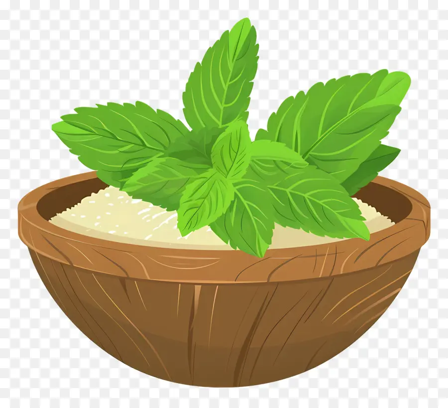 Hojas De Stevia，Polvo PNG