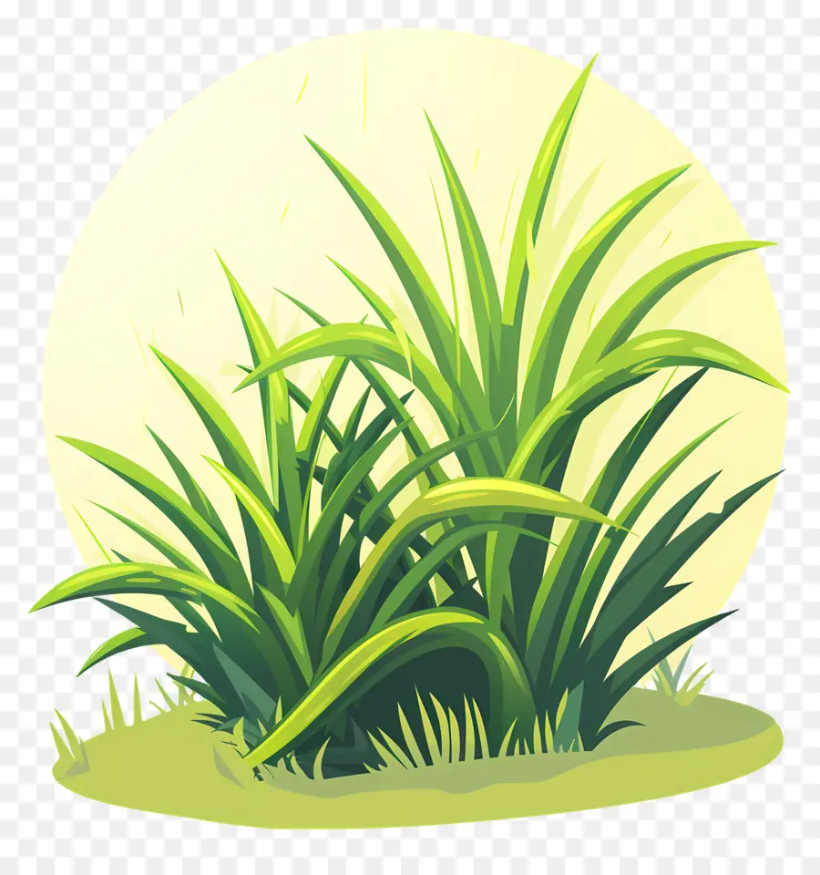 La Hierba Parche，Las Plantas Verdes PNG