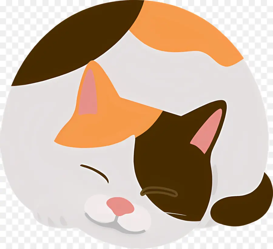 Gato De Dibujos Animados，Bata Naranja Y Blanca PNG