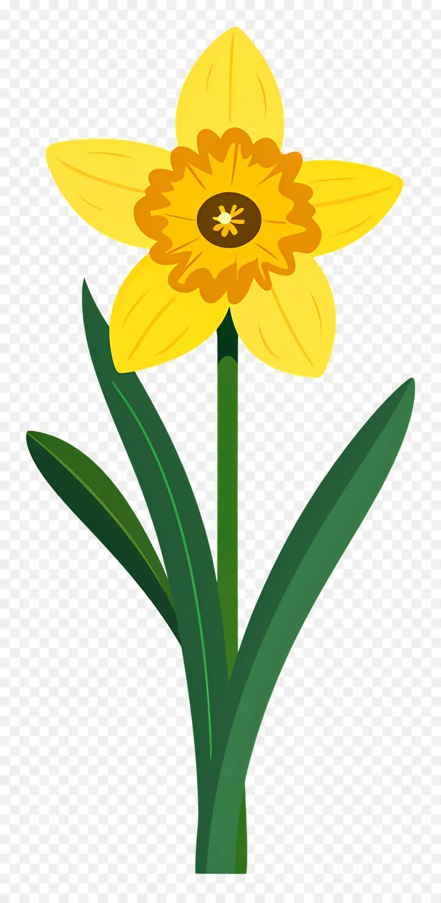 Narciso Flor，Narciso Amarillo PNG