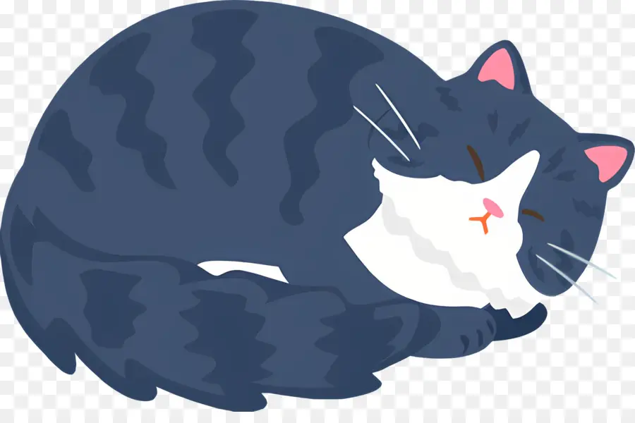 Gato De Dibujos Animados，Gato PNG