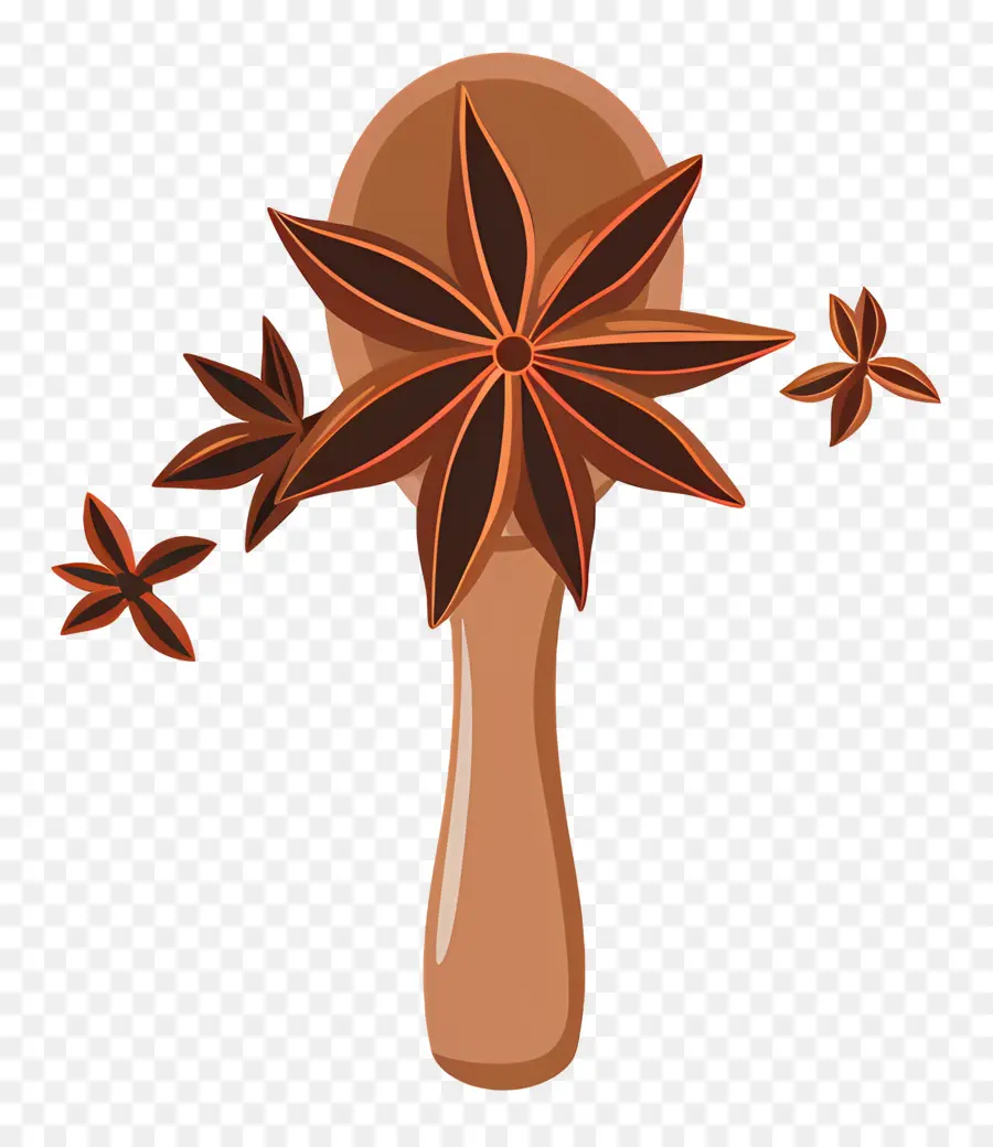 El Anís Estrellado，Canela PNG