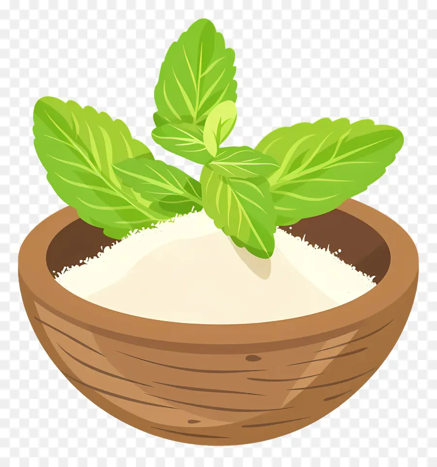 Hojas De Stevia，Polvo PNG