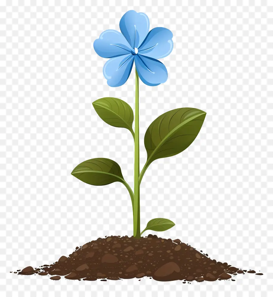 Flor Azul，Suelo PNG