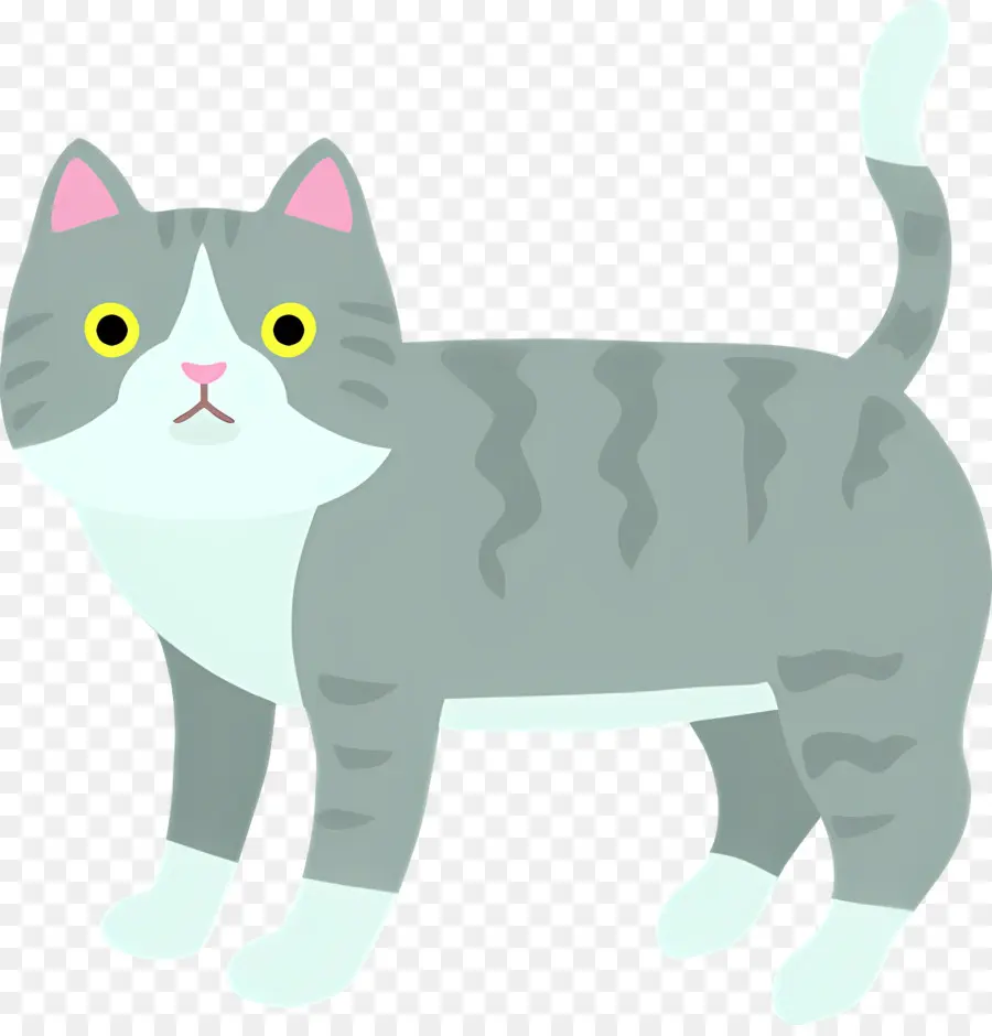 Gato De Dibujos Animados，Gato Gris Y Blanco PNG