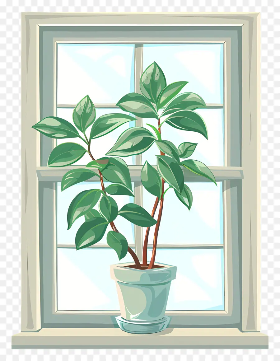 Ventana，Planta En Maceta PNG