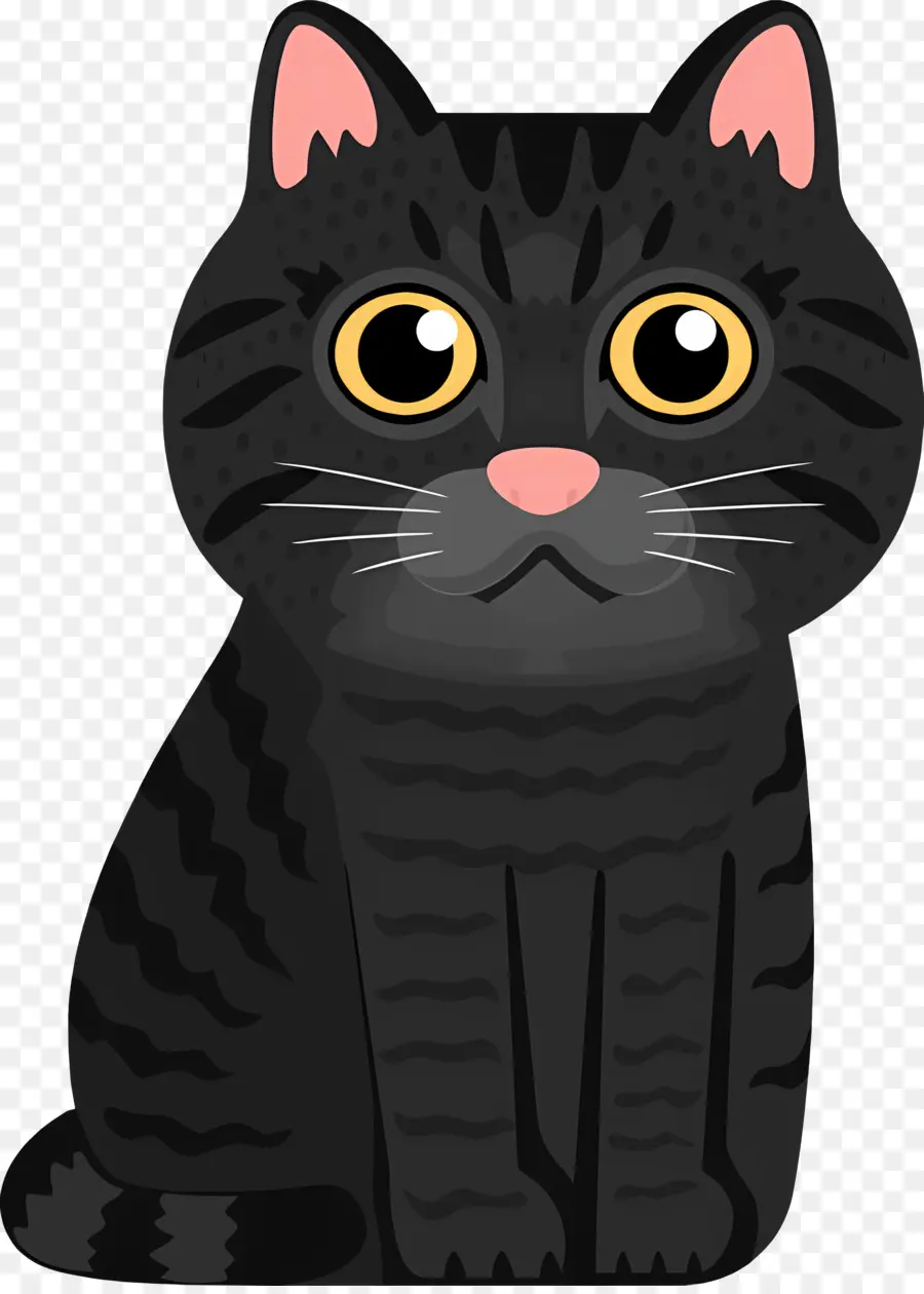 Gato De Dibujos Animados，Gato Negro PNG