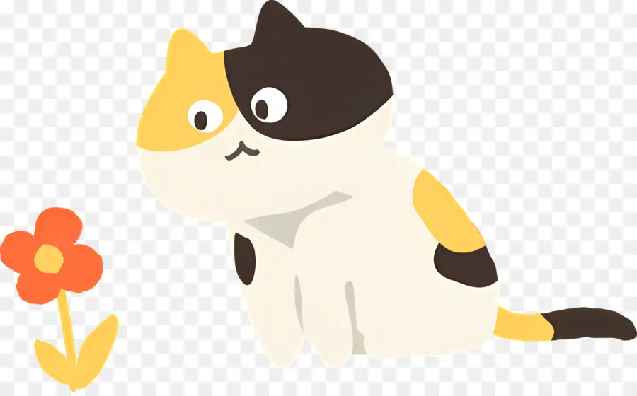 Gato De Dibujos Animados，Gato PNG