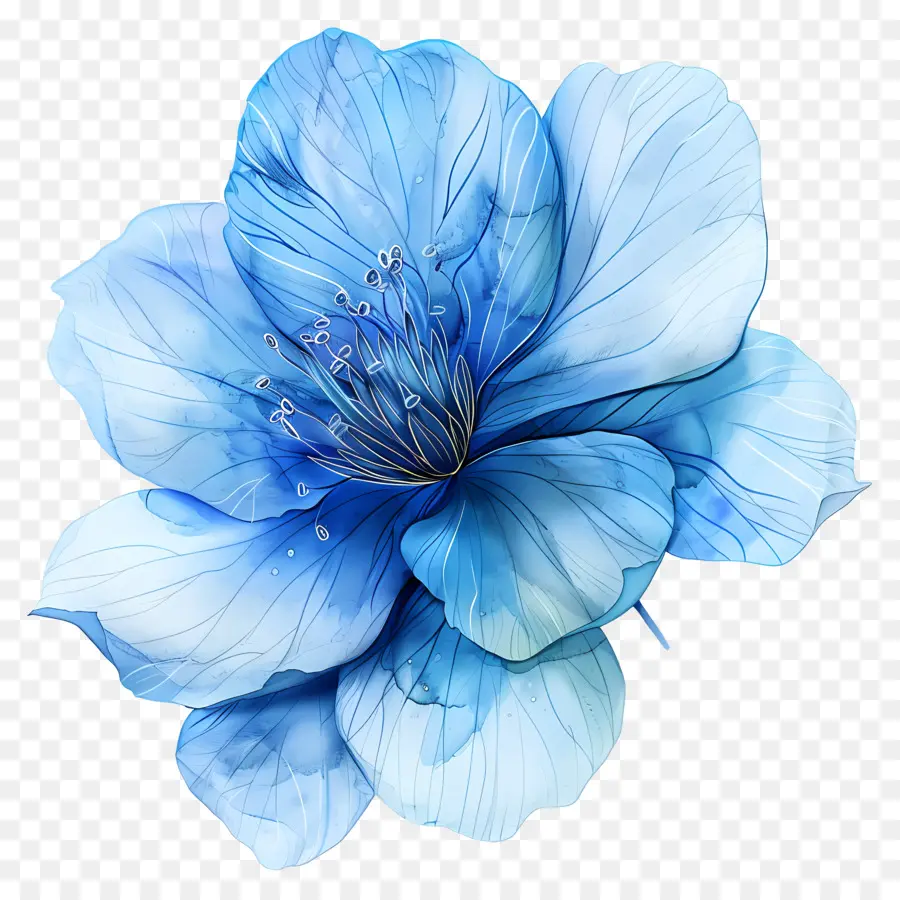 Flor Azul，Centro Amarillo PNG