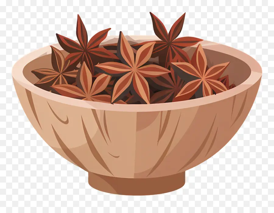 El Anís Estrellado，Especias Bowl PNG