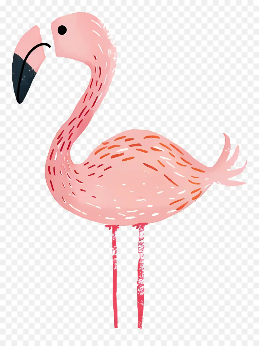 Flamingo，Flamenco Rosado PNG