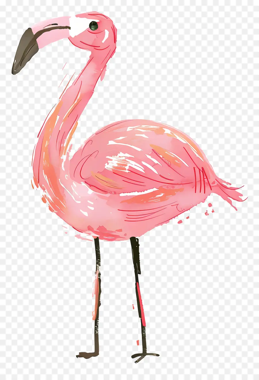 Flamingo，Flamenco Rosado PNG