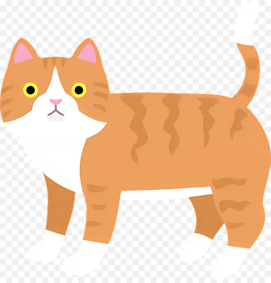 Gato De Dibujos Animados，Gato PNG