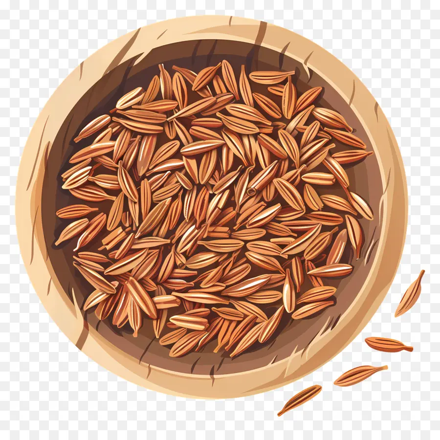 Semillas De Comino，El Arroz Integral PNG