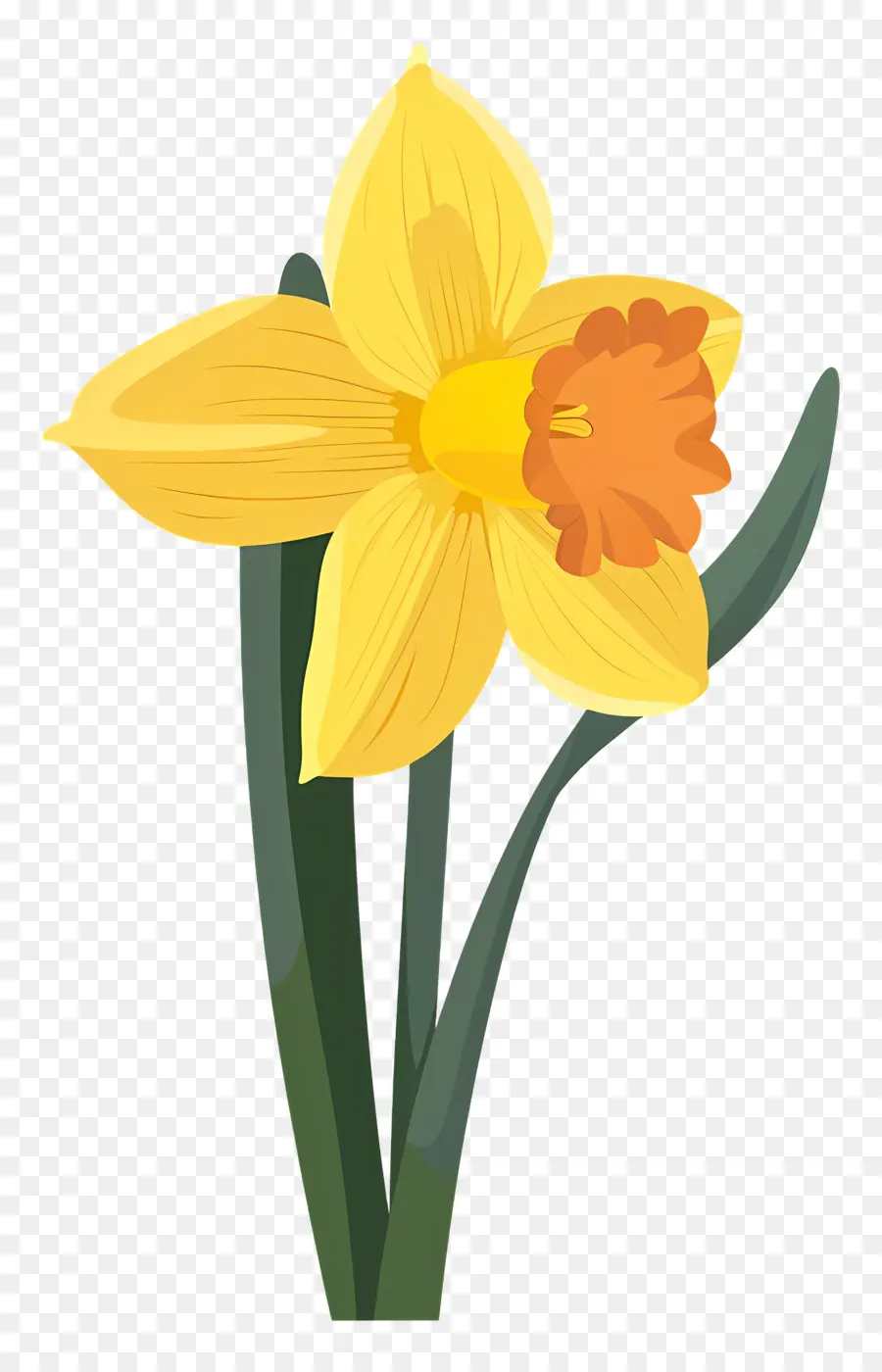 Narciso Flor，Narciso PNG