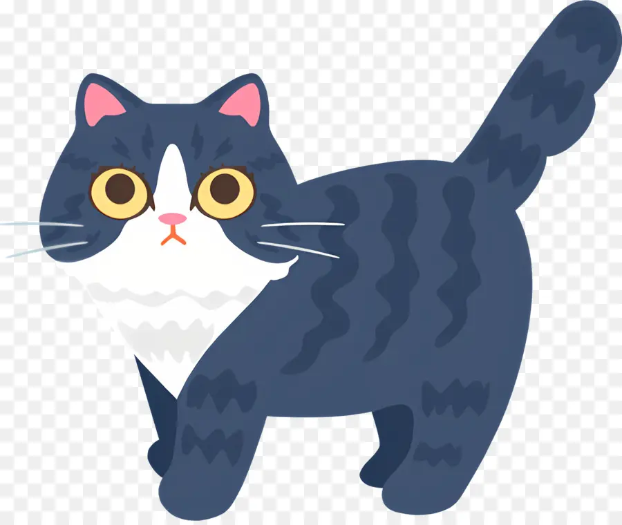 Gato De Dibujos Animados，Gato Blanco Y Negro PNG