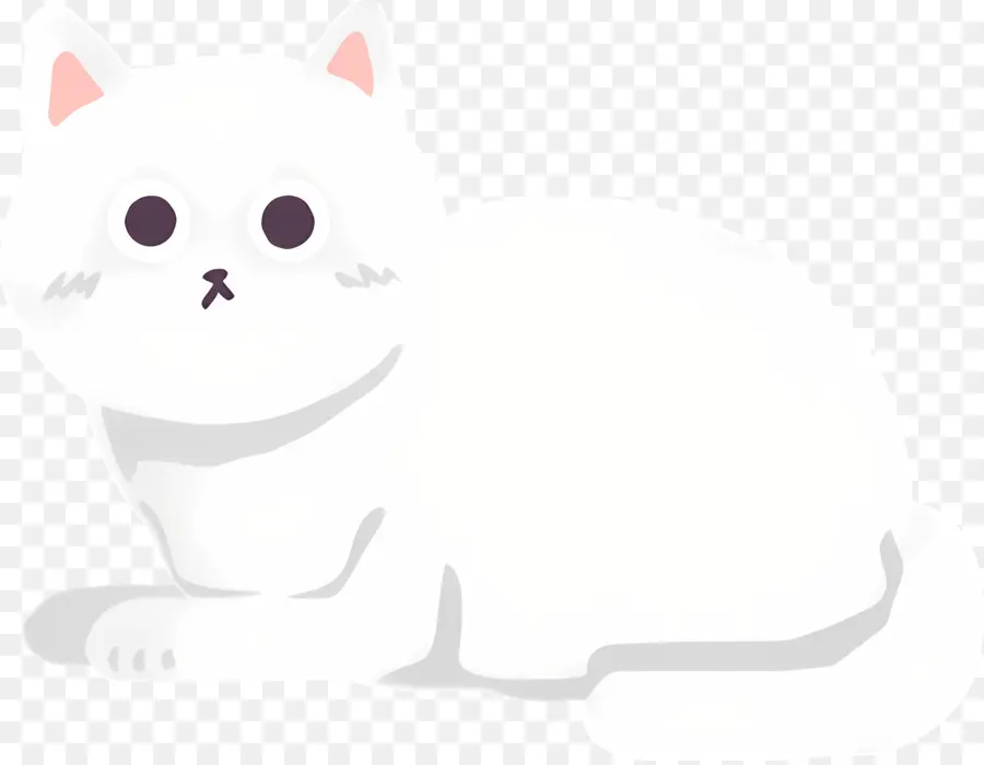 Gato De Dibujos Animados，Gato Blanco PNG