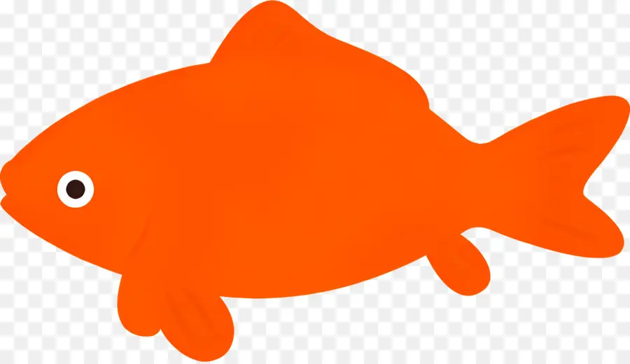 Pez，Naranja De Pescado PNG