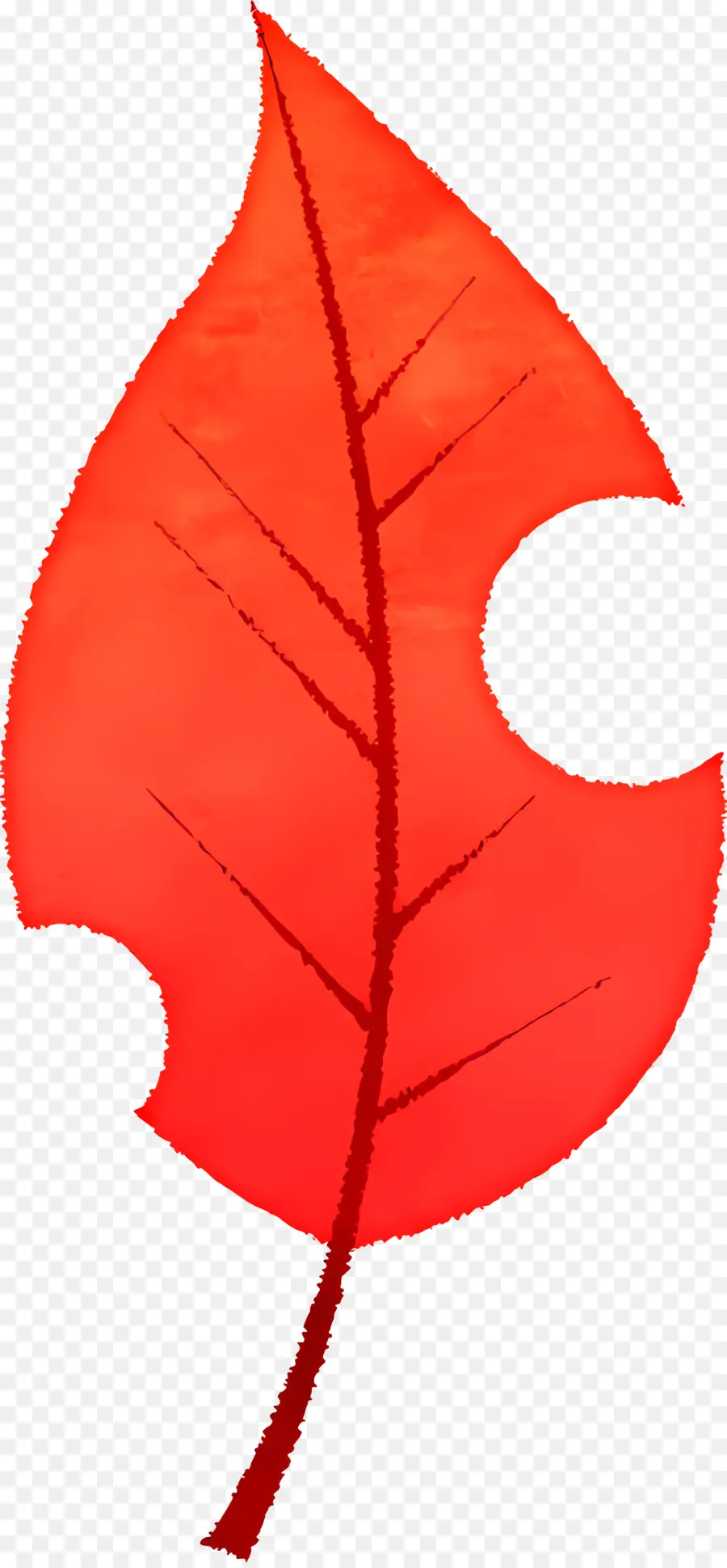 Hoja De Otoño，Hoja Roja PNG