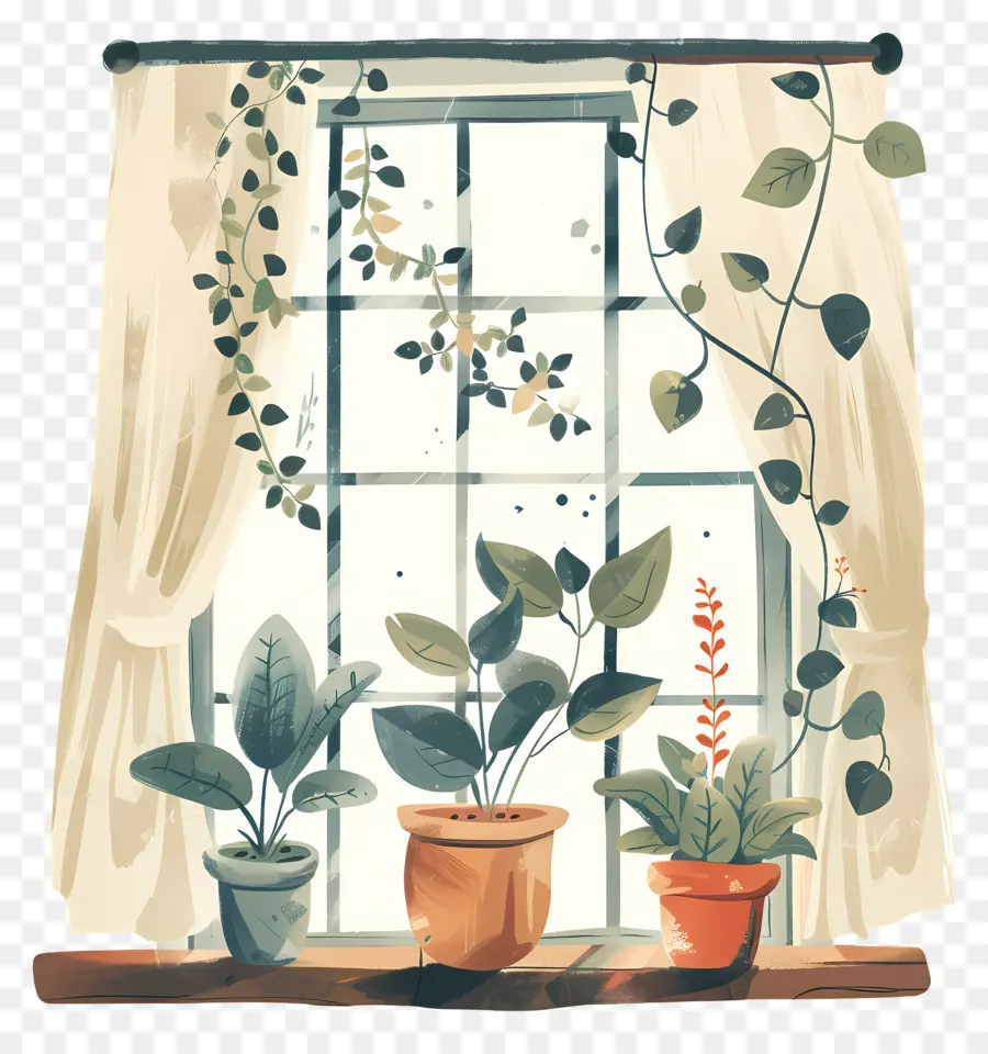 Ventana，Plantas De Ventana PNG