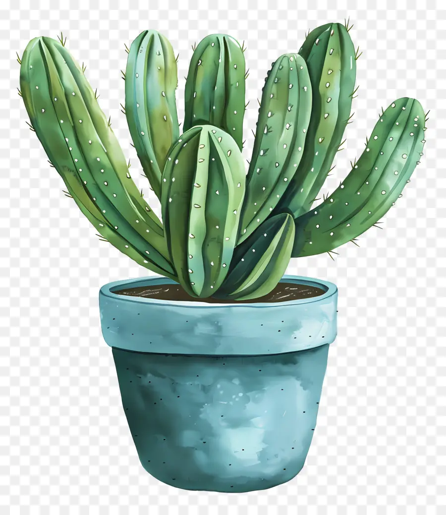 Cactus Suculento，Cactus PNG