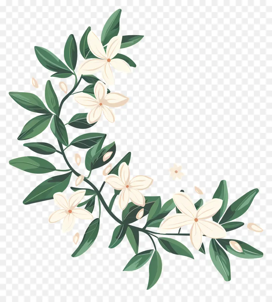 Jazmín Garland，Flor Blanca PNG