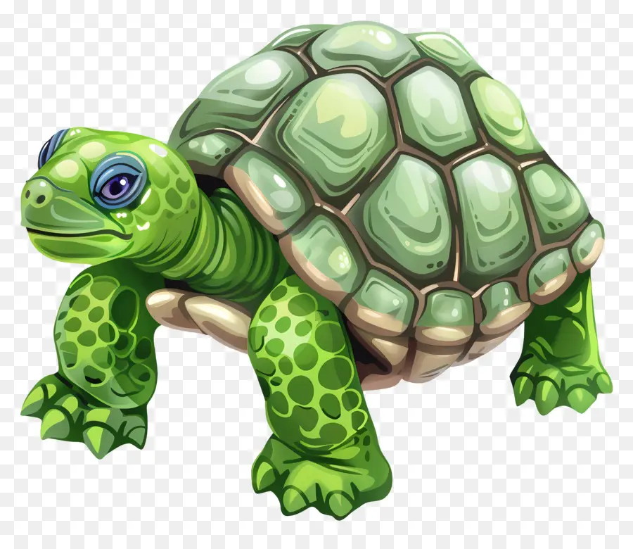 Tortuga，La Tortuga Verde PNG