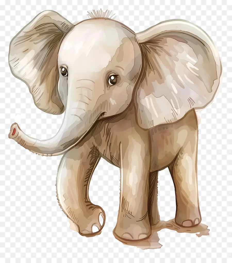 Elefante，Lindo Elefante PNG