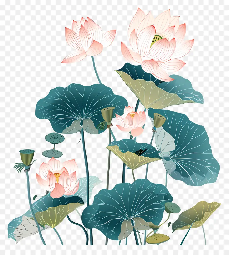 Las Flores De Loto，La Pintura China PNG