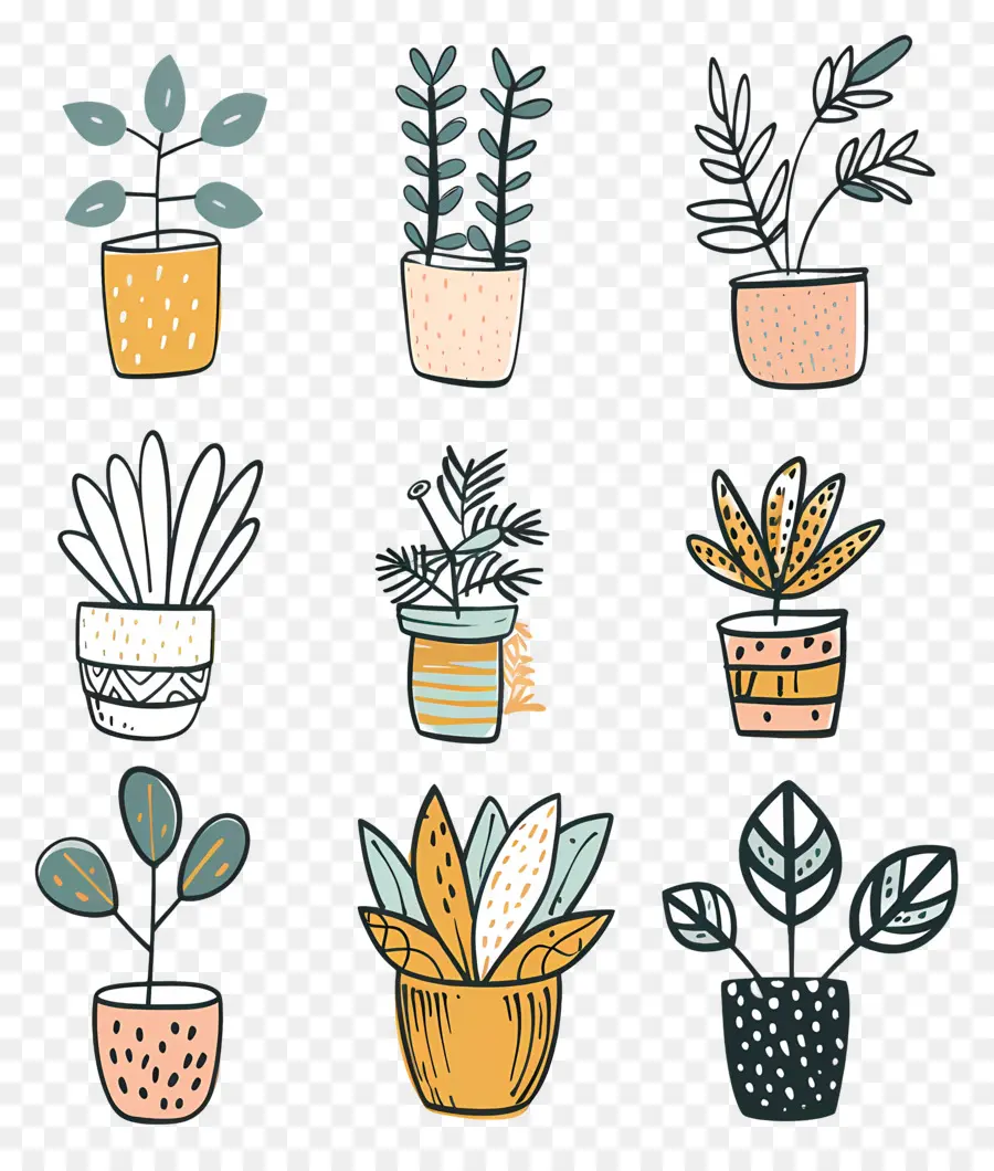 Plantas De Interior En Macetas，Las Plantas En Maceta PNG