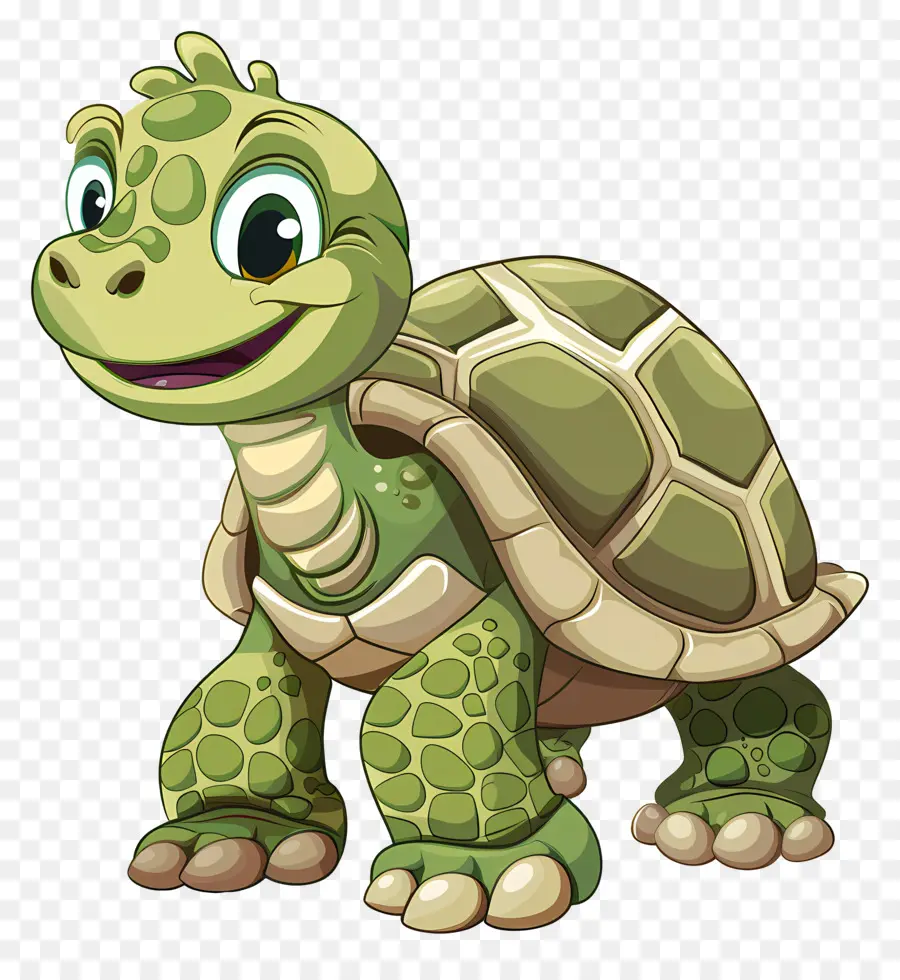 Tortuga，La Tortuga Verde PNG