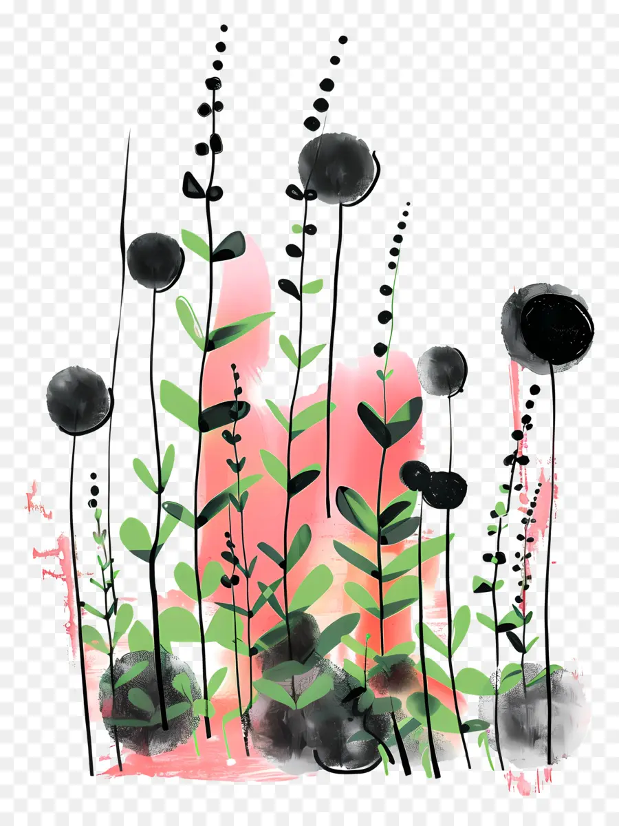 Sprouts En Crecimiento，Flores Negras PNG