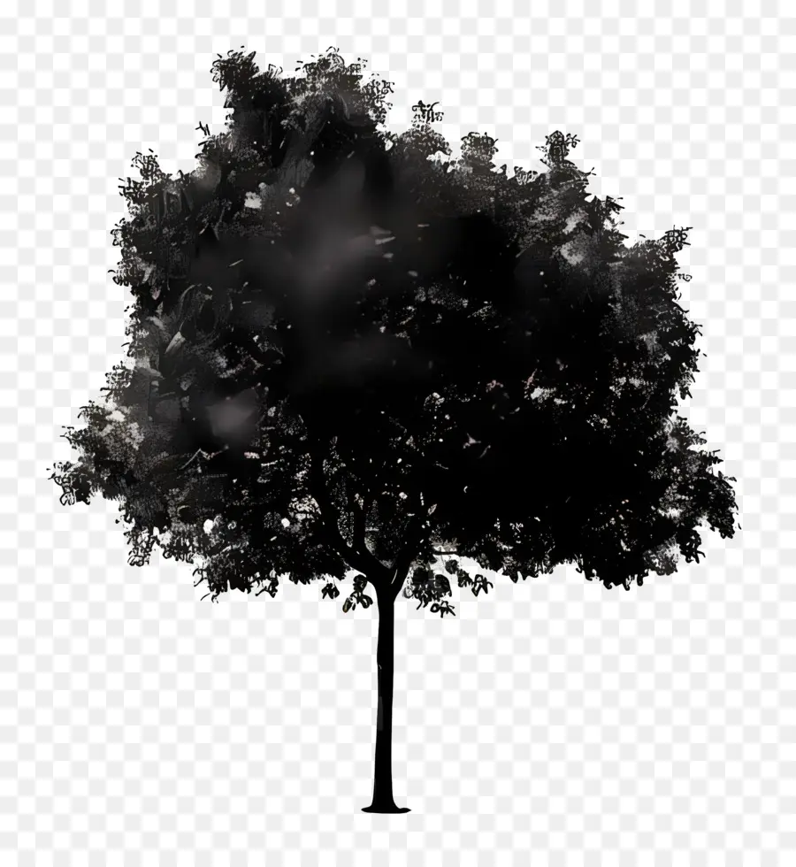 árbol Del Parque，Silueta De árbol PNG