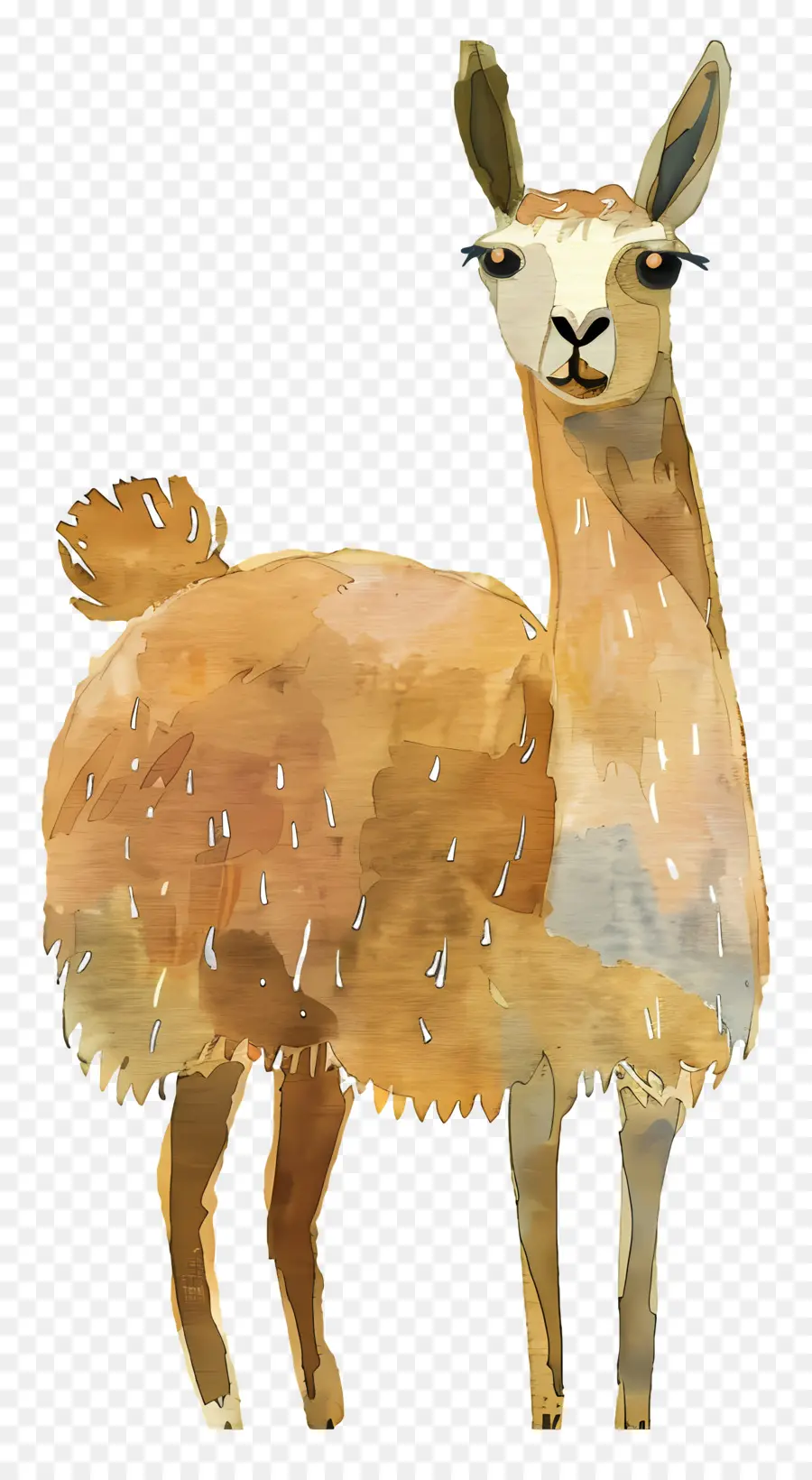 Llama，Acuarela PNG