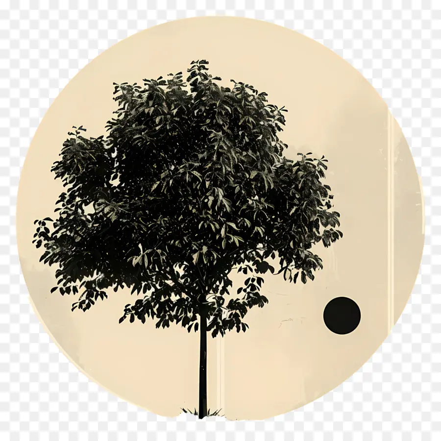 árbol Del Parque，Árbol PNG