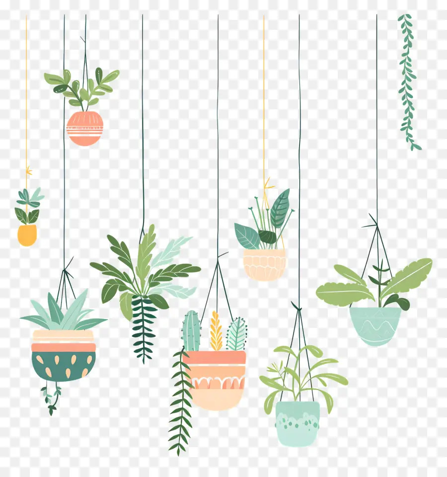 Plantas De Interior Colgando，Las Plantas Colgantes PNG