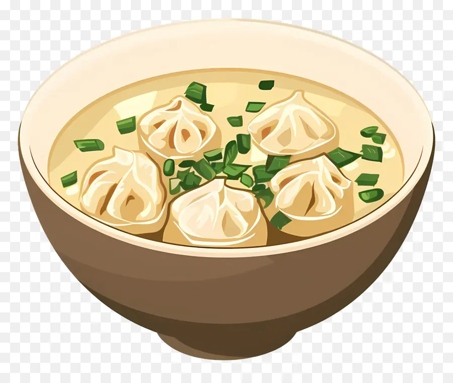 Sopa De Wonton，La Sopa Caliente PNG