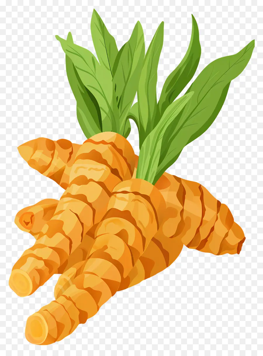 La Cúrcuma，Las Zanahorias PNG