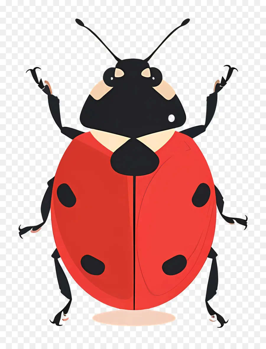 Ladybug，Rojo PNG