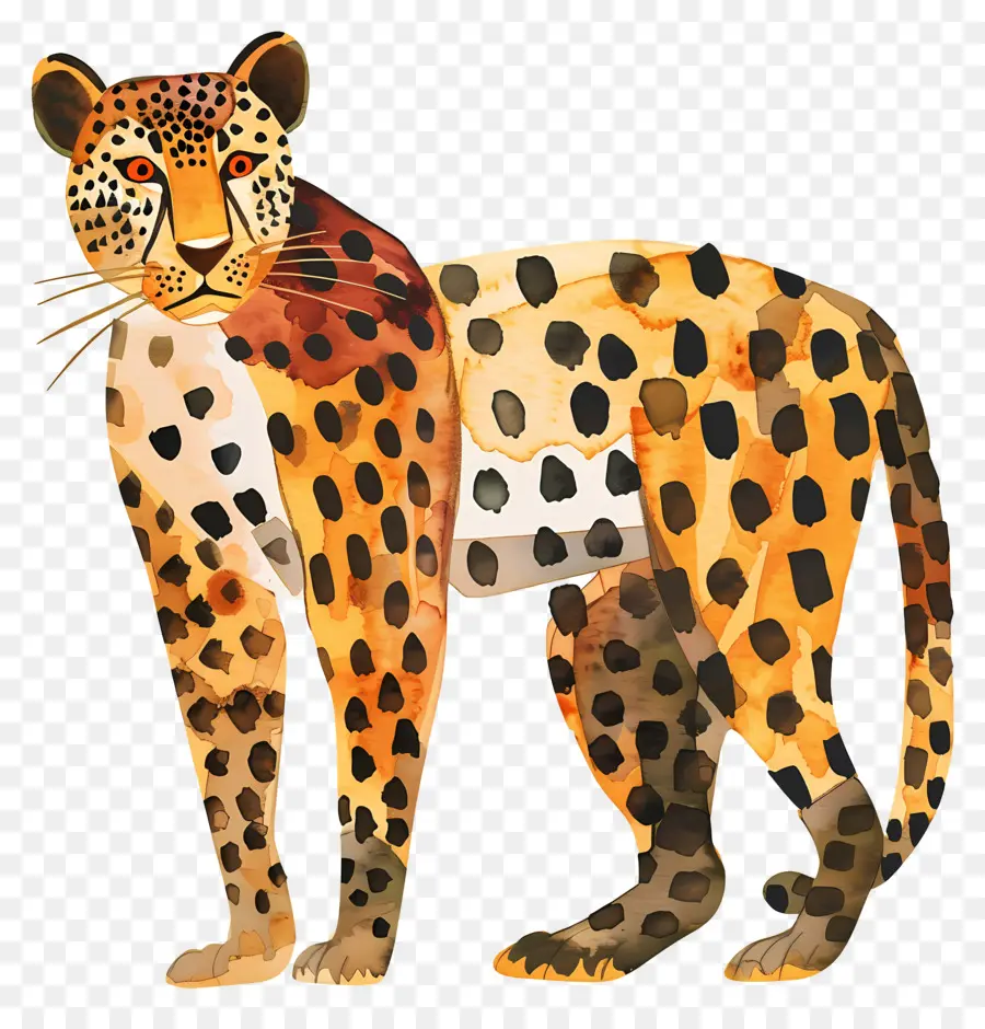 Leopardo，Gato Salvaje PNG